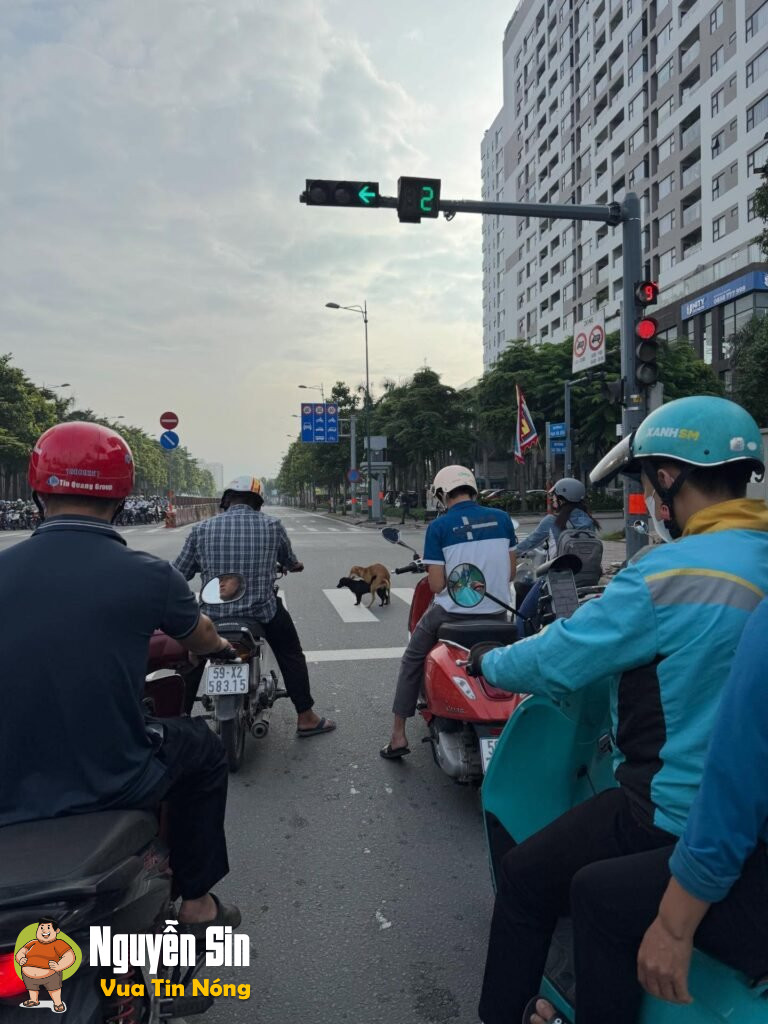 Phát hiện c;ặp đôi “a..b..c” ngay giữa vạch đi bộ, cân nhắc khi xem