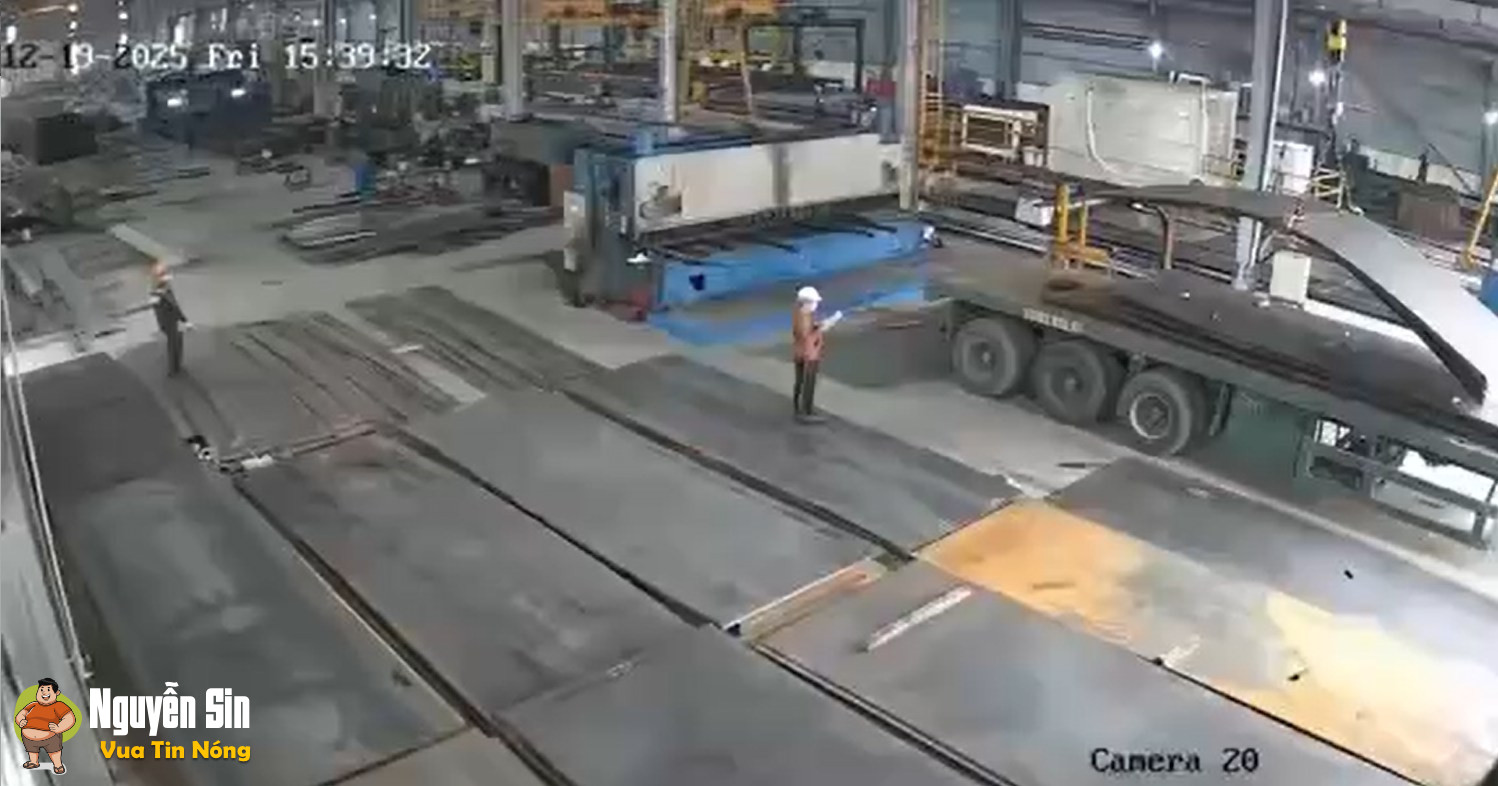 May mà chạy kịp chứ không chắc thành bánh ép