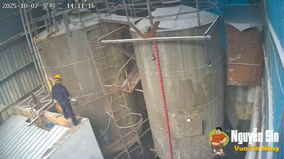 Vjdeo TNLĐ, cân nhắc khi xem