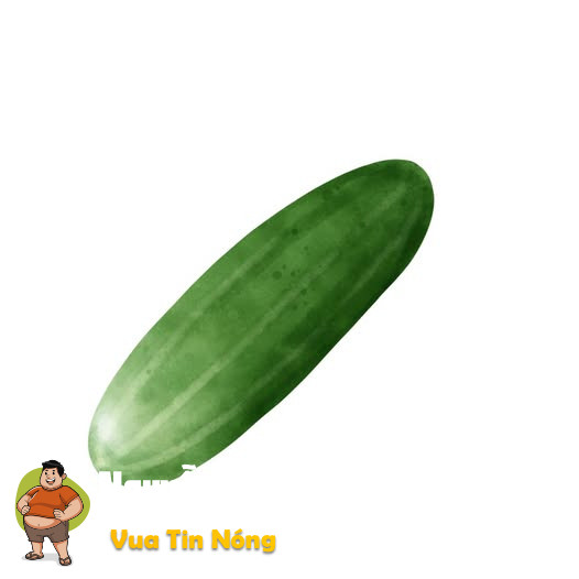 Quả dưa leo số khổ =)))